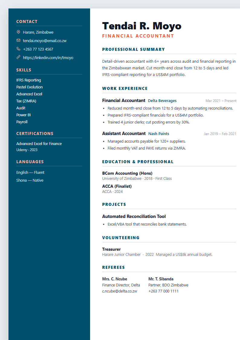 Professional accounting CV template preview