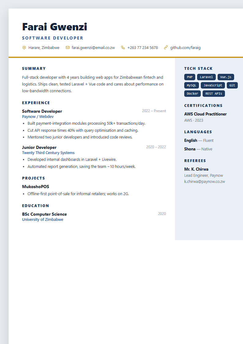 Tech developer CV template preview